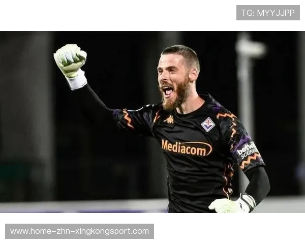 佛罗伦萨利用快速渗透频频杀到禁区,全面解析意甲黑马的成功秘诀